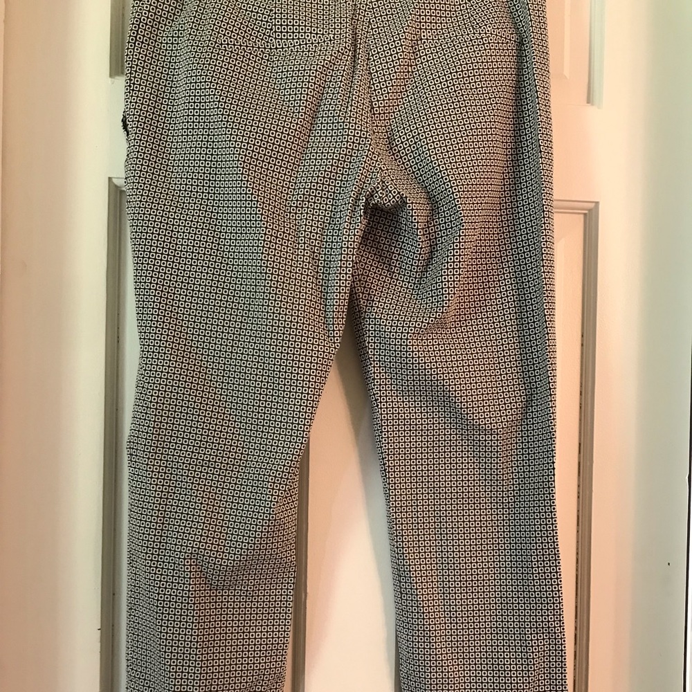 Donna Ricco Pants - Picture 3 of 5